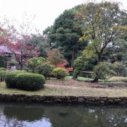 奈良国立博物館の庭園
